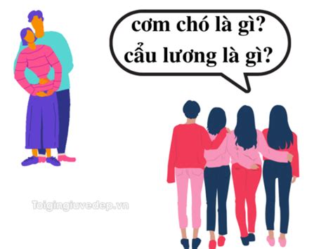 Cơm Chó Là Gì? Cẩu Lương Là Gì? Phát Cơm Chó Nghĩa Là Gì?