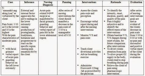 Nanda Nursing: 16+ Nursing Care Plans For Depression