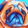Benzi Pet Dog Portrait ~ Meg Harper