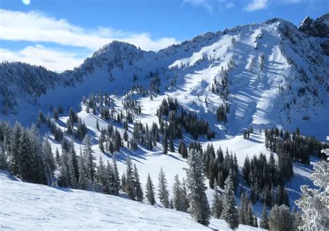 Alta Ski Resort Reviews | Alta Utah