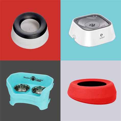 A No-Spill Dog Water Bowl Keeps Floors Cleaner | Mess-Free Dog Bowls