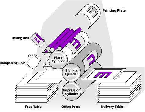 How Commercial, Offset Litho Printing Works - Tamay Creative