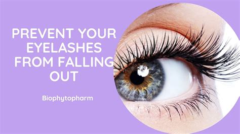 Prevent Your Eyelashes From Falling Out | Biophytopharm