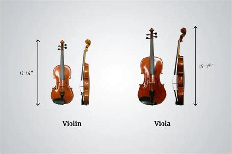 How To Choose Your First Violin Sam Ash Spotlight