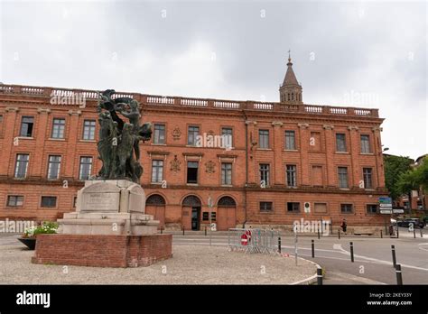 Natural History Museum. Montauban. Tarn-et-Garonne Dep. Occitanie. France Stock Photo - Alamy