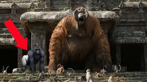 This is Why Gigantopithecus is 100 Times More Dangerous Than Gorilla ...