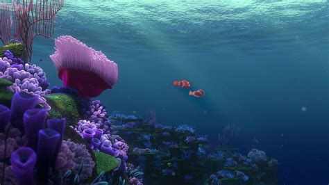 Download Finding Nemo Tropical Fish Wallpaper | Wallpapers.com