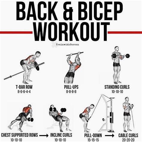 Combine back and bicep day Posted -... | Back and bicep workout, Biceps workout, Back and biceps