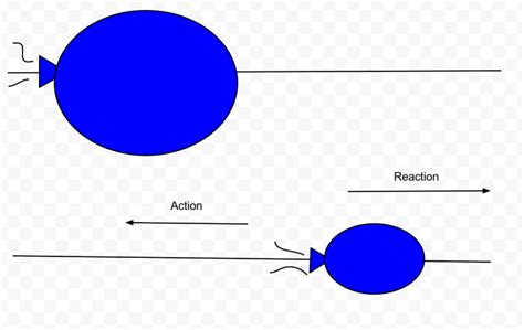 Newton's 3rd Law of Motion - Science ISN