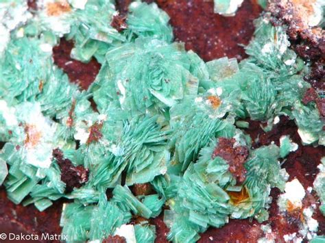 Torbernite Mineral Specimen For Sale