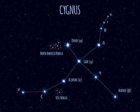 Cygnus Constellation: Stars, Myth, and Location (2024) | Planet Guide