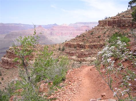 Hermit Trail - Day Hikes - Desert Hiking Company - Grand Canyon National Park