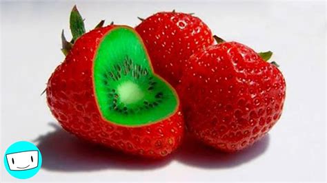 Cross Breeding Fruits