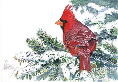 Christmas Cardinal Painting by Don Dane