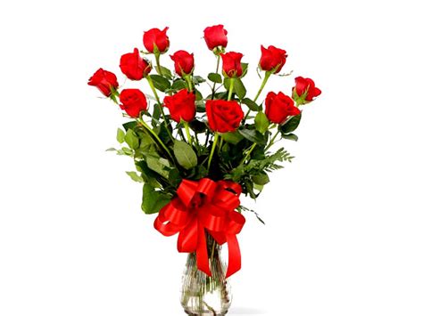 Friendship Day Flowers- Friendship Flowers, Friendship Flower Meaning ...