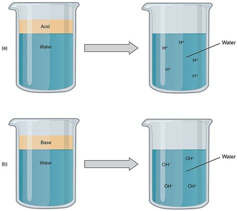 Difference Between Strong and Weak Electrolytes | Definition, Properties, Reactions