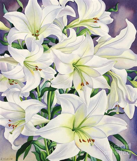 White Lily Painting