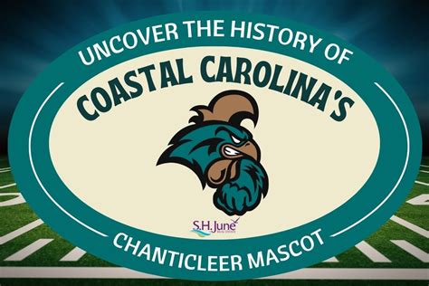 Uncover the History of Coastal Carolina's Chanticleer Mascot | S.H. June