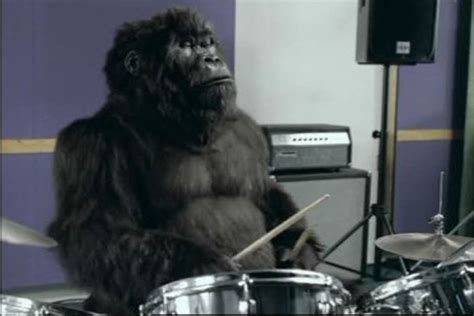 componente sobrino Actual gorila tocando bateria phil collins Sí misma hilo Deshonestidad