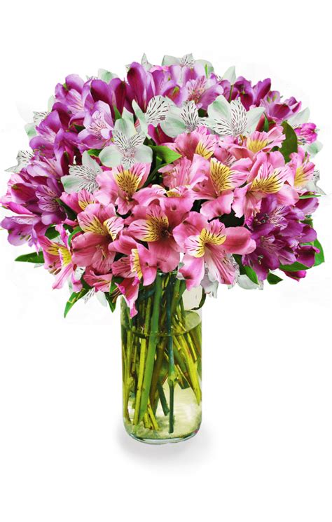 Avas Flowers Coupon Code - Avas Flowers