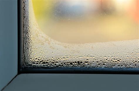 Getting Rid of Condensation Between Glass Windows | ThriftyFun