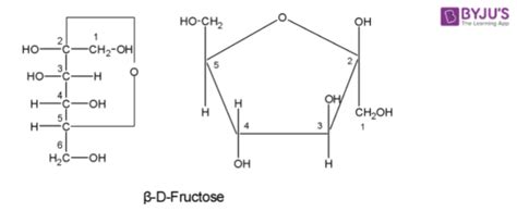 Fructose Molecule Diagram