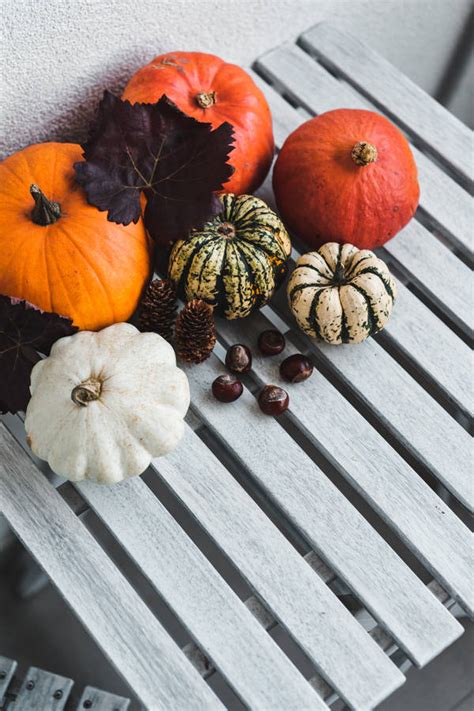 Download Colored Rustic Fall Pumpkins Wallpaper | Wallpapers.com