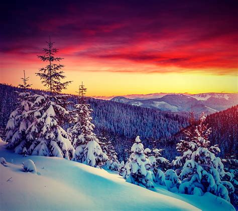 Winter Landscape, landscape, winter, HD wallpaper | Peakpx