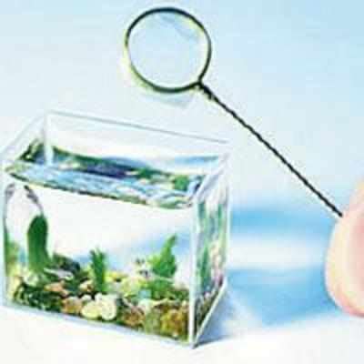 Man creates world's smallest aquarium