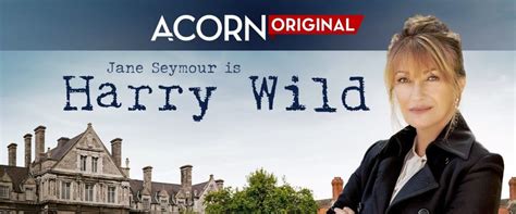 Watch Harry Wild - Season 1 Full Movie on FMovies.to