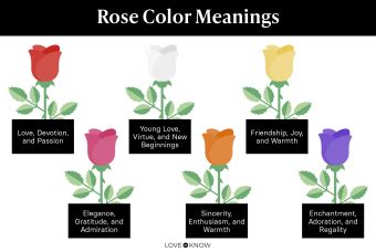 Meaning Behind Flower Colors