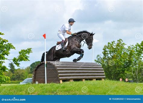 Tattersalls Horse Show in Ireland, Black Horse Jumping Over Obstacle ...