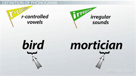 Phonogram | Definition, List & Examples - Video & Lesson Transcript ...