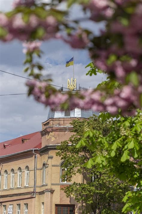 May 25, 2021 Berehove City, Transcarpathia, Ukraine. Ukrainian Flag and Coat of Arms on a House ...