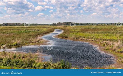 Long Point Birding Trail at Big Creek Natural Reserve Marsh, Lake Erie, Long Point, Ontario ...