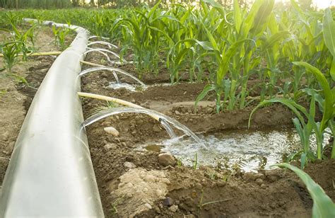 ≫¿Cuántos tipos de riego hay? | Agriquipo