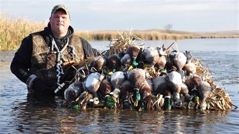 ALL Drakes!!! Duck hunt in South Dakota - YouTube