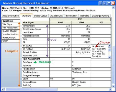 Vital Signs Template of a Flowsheet within the Electronic Medical ...