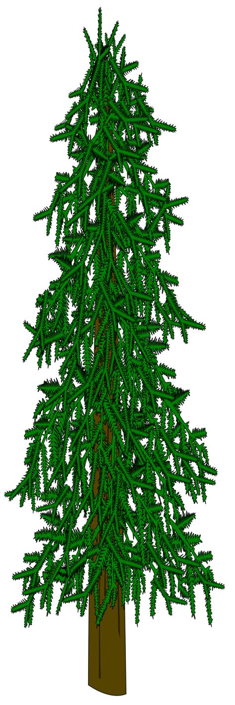 Evergreen Tree Vector by dutchscout on DeviantArt