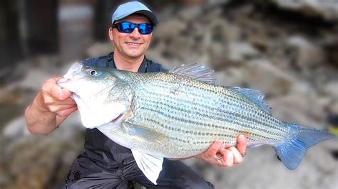 HYBRID Striped Bass Fishing On The IOWA RIVER. Personal Best Wiper. - YouTube