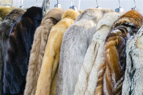 Fur Coat Alterations Toronto - Tradingbasis