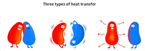 Science - Types of Heat Transfer Diagram | Quizlet