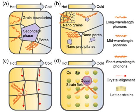 Schematic diagram of phonon scattering mechanisms in superionic ...