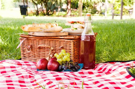 Bear Skin Picnic Blanket Content Gallery : Extravagant bear shaped picnic rug.