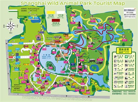 Shanghai Wild Animal Park - China ChengDu Tours, Chengdu Panda Volunteer Program