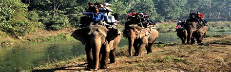 Jungle Safari Tour in Nepal | Chitwan National Park Tour