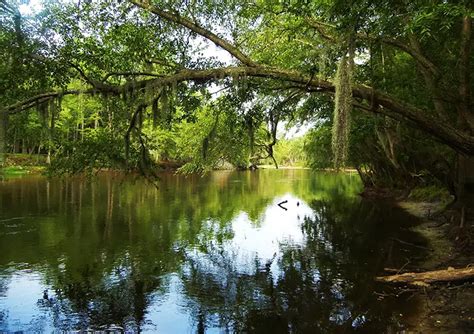 South Carolina State Parks - South Carolina Lowcountry