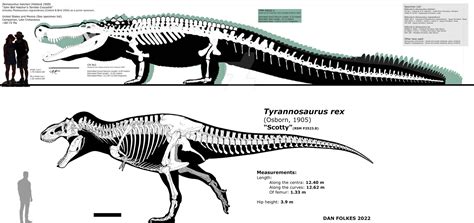 Deinosuchus Size