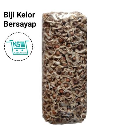 500gram Besayap Kelor Seeds | BIJI KELOR BESAYAP 500GRAM | Shopee Singapore