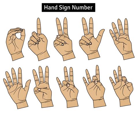 American Sign Language Number. Hand Sign Language Counting Gesture ...